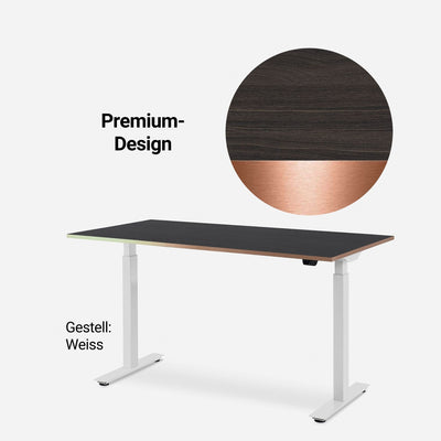 180 x 80 cm WRK21 PREMIUM-TISCHPLATTE