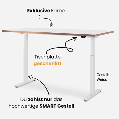 120 x 80 cm WRK21 PREMIUM-TISCHPLATTE